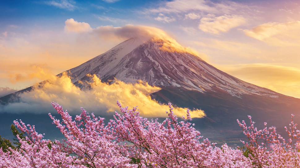 Japon | fleurs de cerisier | Fuji | nuages | investissements | ciel | neige | rose | blanc | orange